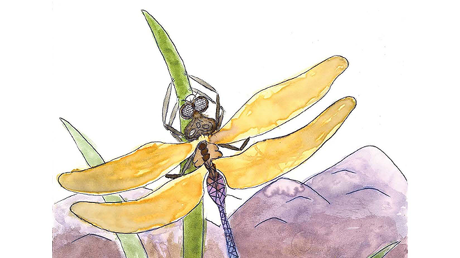 Image: Living River of Words: Artwork on Display