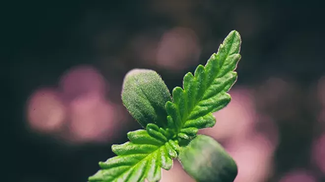 Image: A Celebration of 710