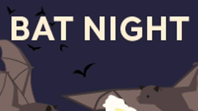 Image: Bat Night (Cool Summer Nights)
