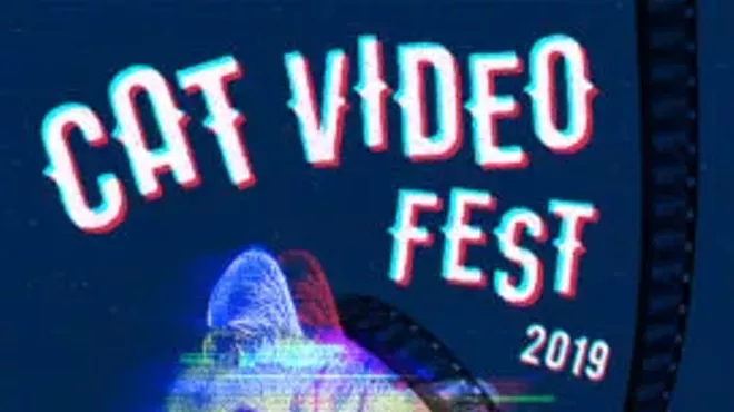Image: The Cat Video Fest 2019