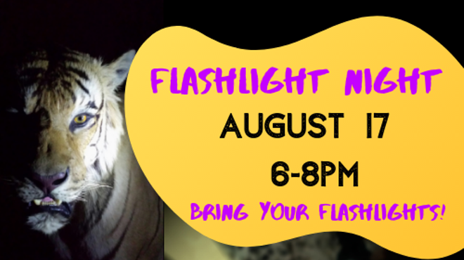 Image: Flashlight Night