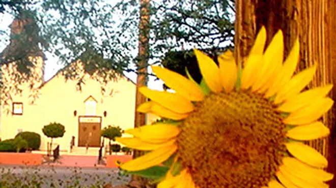 Image: Van Gogh Sunflower Paintout and Auction