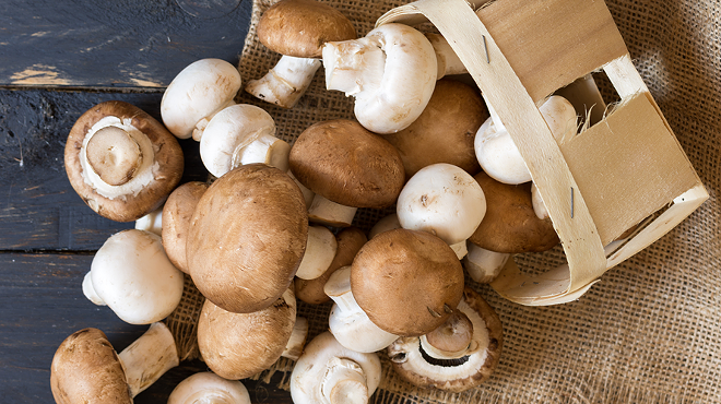 Image: Intro to Mushrooms for the Home and Garden