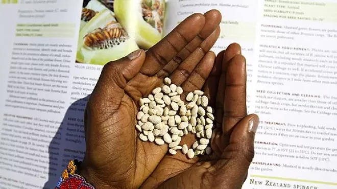 Image: The Heirloom Seeds of Africa