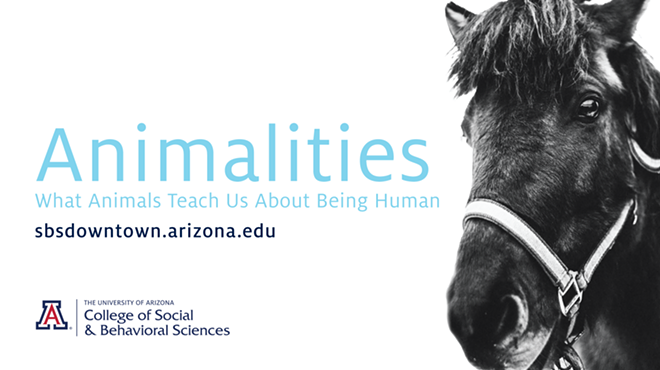 Image: UA Downtown Lecture: &ldquo;Łįį&rsquo; (Navajo Horse) as Healer and Educator&rdquo;