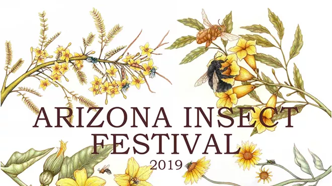 Image: 2019 Arizona Insect Festival