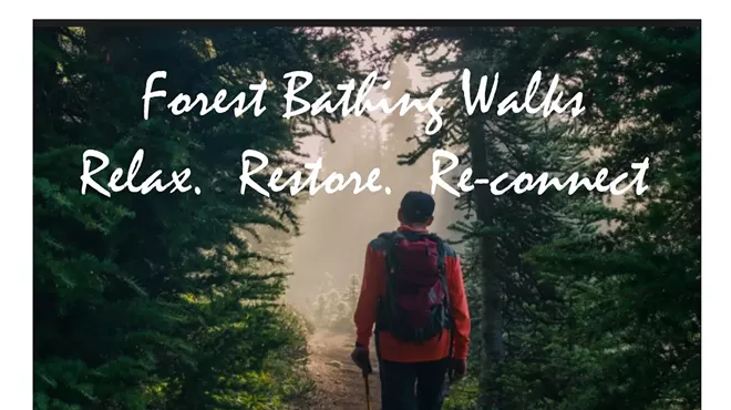 Image: Relax. Restore. Re-Connect. - Forest Bathing Walks