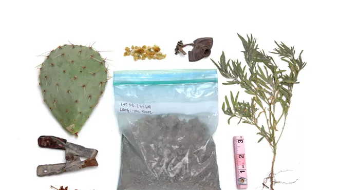 Image: Desertification Cookbook | Matthew Garcia