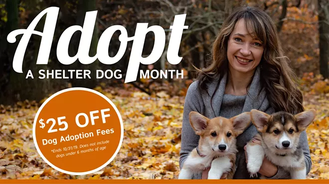 Image: HSSA Discounted Adoptions
