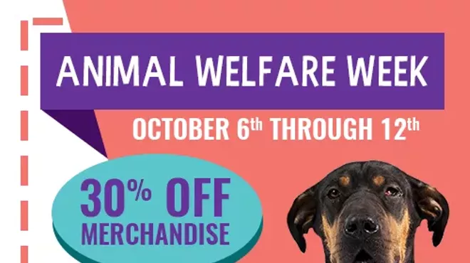 Image: Animal Welfare Week