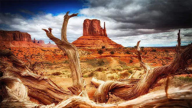 Image: Main Library Poetry Circle