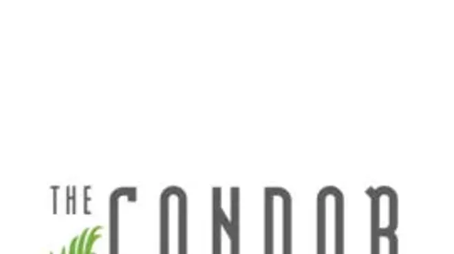 Image: The Condor & The Eagle