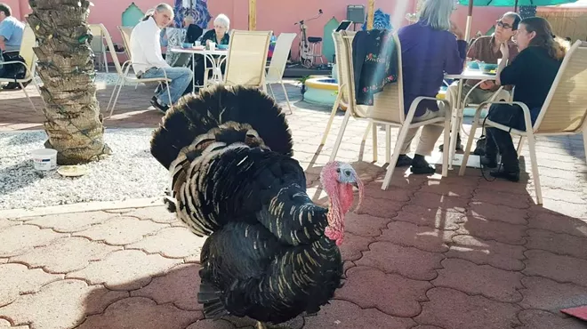 Image: Cruelty Free Thanksgiving Feast