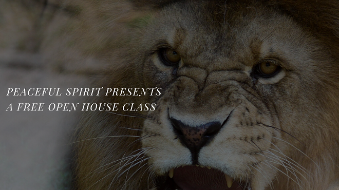 Image: Anger is Our Ally, Not Our Enemy