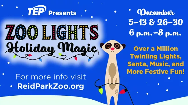 Image: Zoo Lights: Holiday Magic
