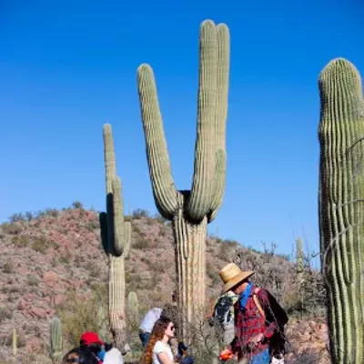 Image: Help Build New Trails at Painted Hills