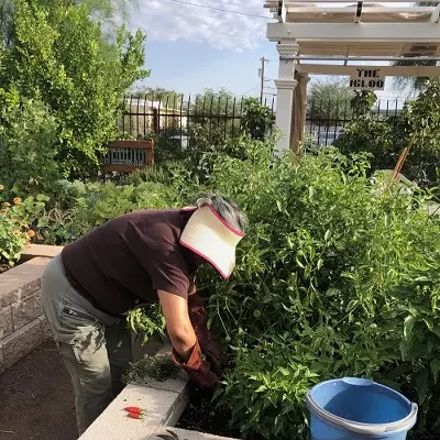 Image: Three Great Things to Do in Tucson Today: Thursday, April 11