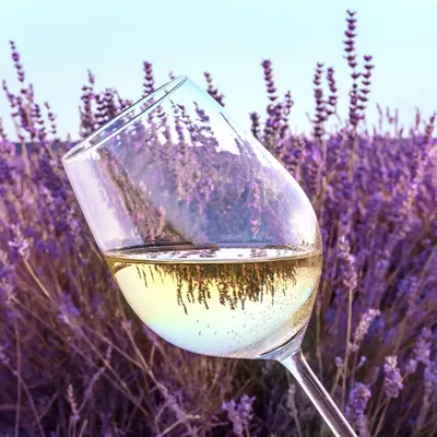 Image: 29 Great Things to Do in Tucson This Weekend: April 12 to 14