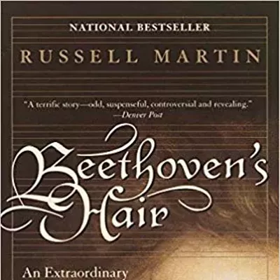 Image: What ABOUT Beethoven's hair?