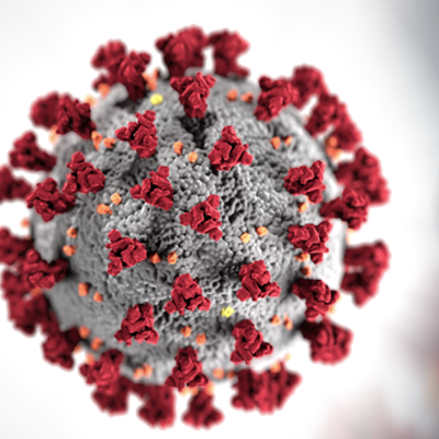 Image: Coronavirus Update: Second Death from COVID-19; AZ Confirmed Cases Now at 152