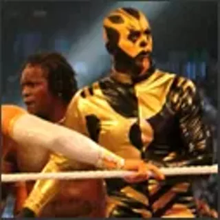 Image: WWE: Live