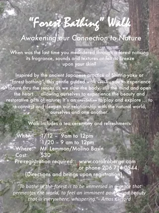 Image: Awakening Our Connection to Nature - "Forest Bathing" Walk