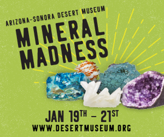 Image: Mineral Madness Sale and Family Fun