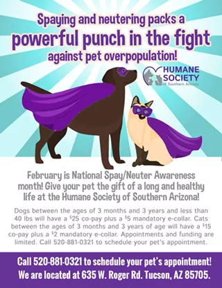 Image: February Spay/Neuter Discount