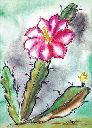 Image: "desert Blooms"