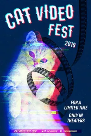 Image: The Cat Video Fest 2019!