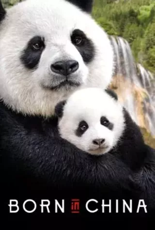 Image: Disneynature: Born In China