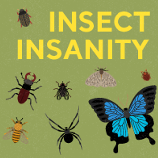 Image: Insect Insanity (Cool Summer Nights) at Arizona Sonora Desert Museum