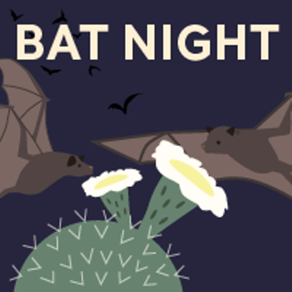 Image: Bat Night (Cool Summer Nights)