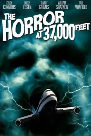 Image: The Horror At 37,000 Feet