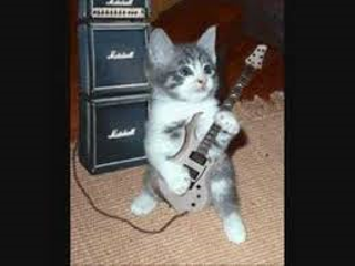 Image: Tom Cat and the Prowlers Classic Rock Cars and Bikes Show