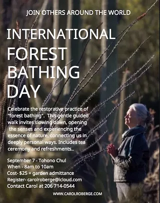 Image: International Forest Bathing Day