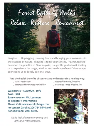 Image: Relax. Restore. Re-Connect. - Forest Bathing Walks