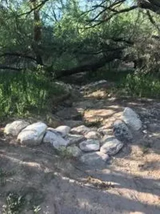 Image: Tanque Verde Creek Bosque Erosion Control and Water Harvesting Workshop