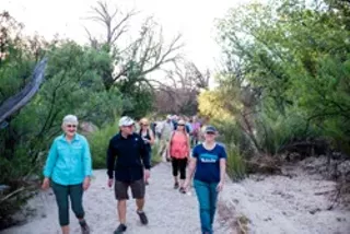 Image: Creek Walk: Black Friday & Beavers at Ci&eacute;nega Creek