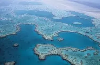 Image: Developing Super Corals: Newest Biosphere2 Research