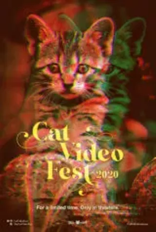 Image: The Cat Video Fest 2020!