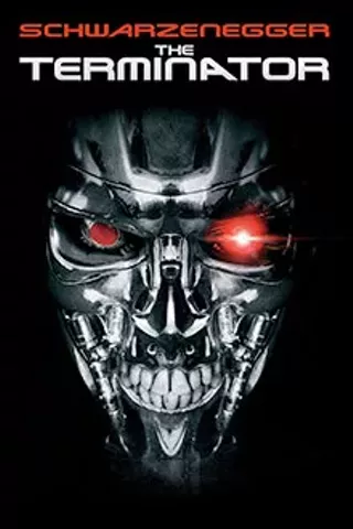 Image: The Terminator