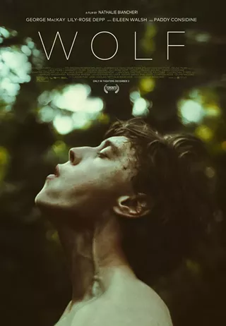 Image: Wolf