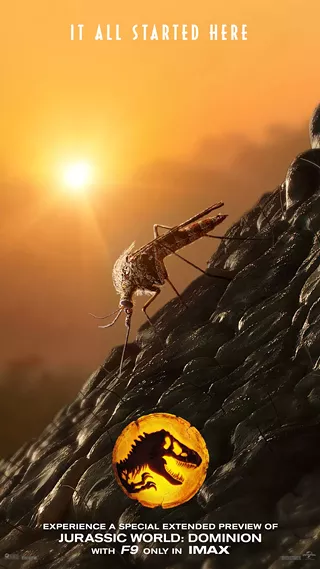 Image: Double Feature: Jurassic Park (1993) / Jurassic World Dominion