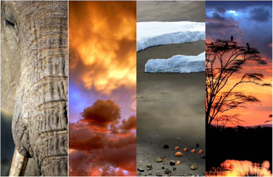 a91ce43a_collage.png