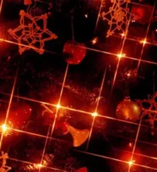 Image: Winterhaven Festival of Lights