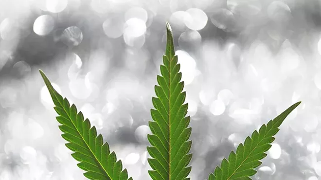 Image: Joining the Fray: Prime Leaf partners with Ward 6, AZ NORML for expungement clinic
