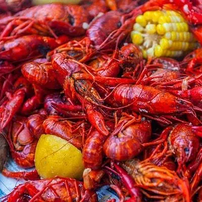 Image: 26 Great Things to Do in Tucson This Weekend: April 5 to 7