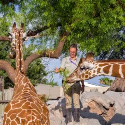 Image: 29 Great Things To Do in Tucson This Weekend: Friday, July 27-Sunday, July 29