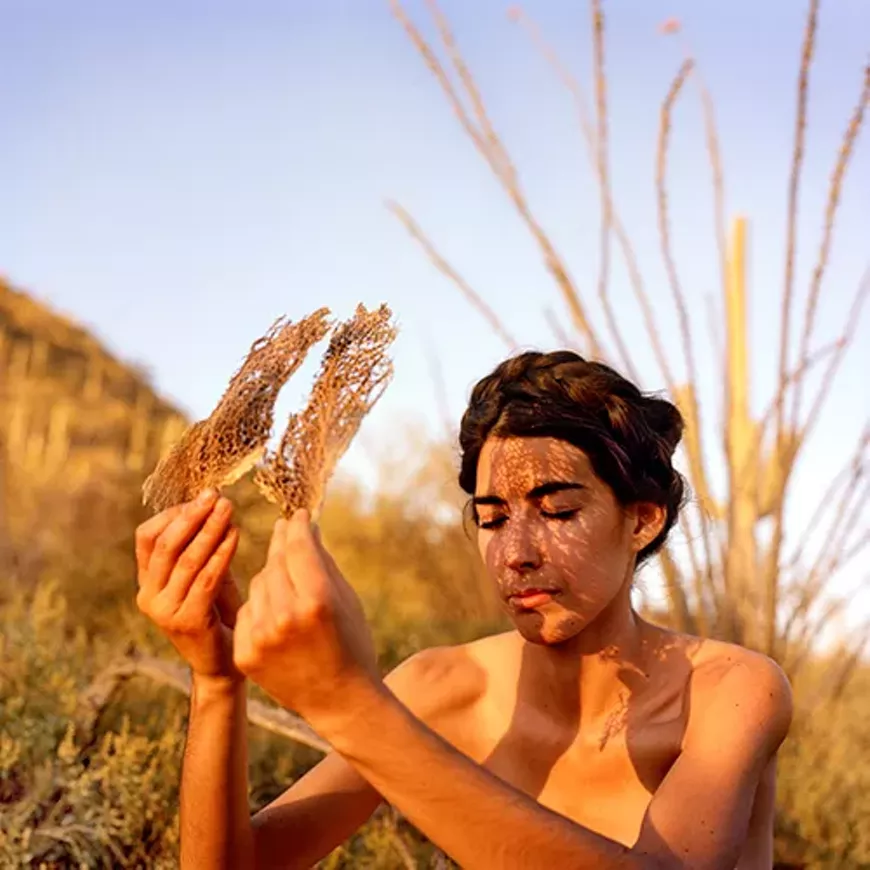 Sunbones (After Lola Alvarez Bravo), 2019